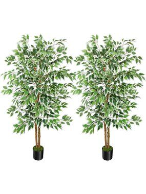 5FT Faux Ficus Tree Set with Realistic Wood Trunks - Indoor Plant Decor, 2 Pack